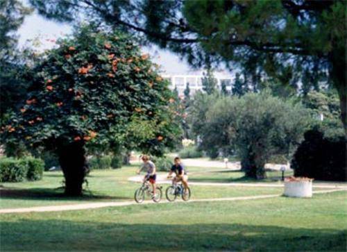מלון כלקידיקי Gerakina Beach מראה חיצוני תמונה